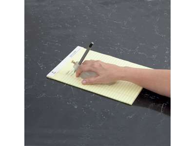 Writing Bird - Skrivefuglen