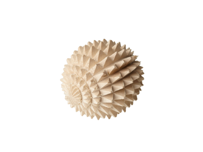 Massagebold træ 5,5cm bøg