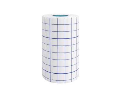 Non-Woven Adh.Tape 10cm x10m (1) 